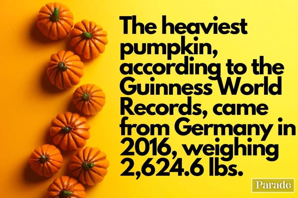best pumpkin trivia questions