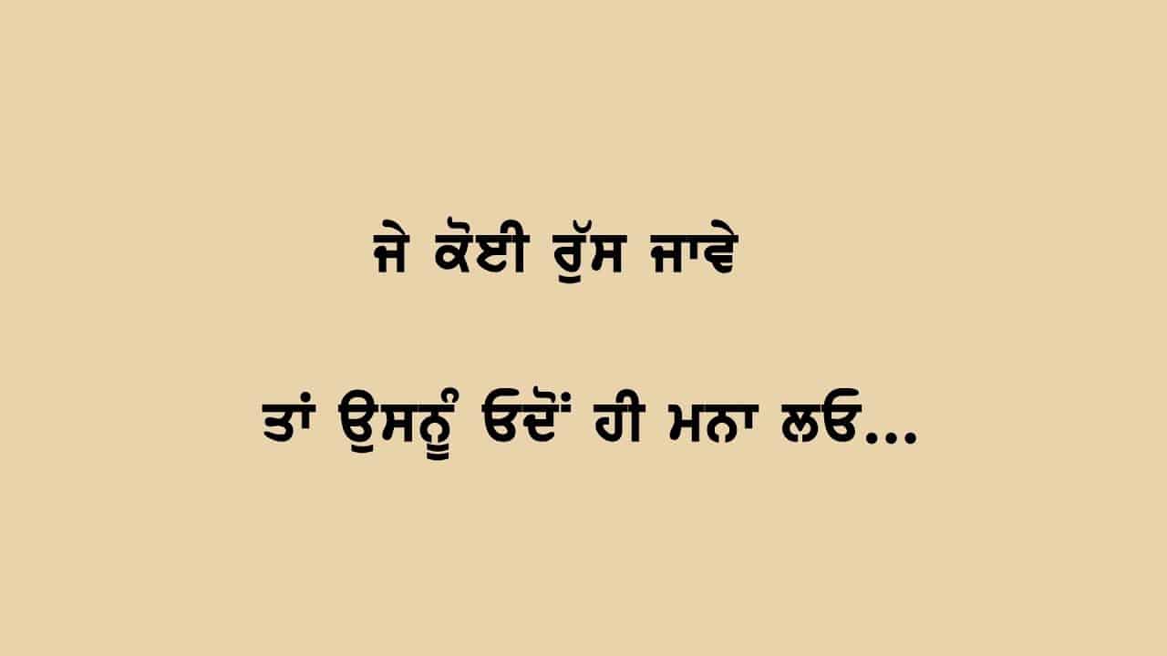best punjabi quotes on life