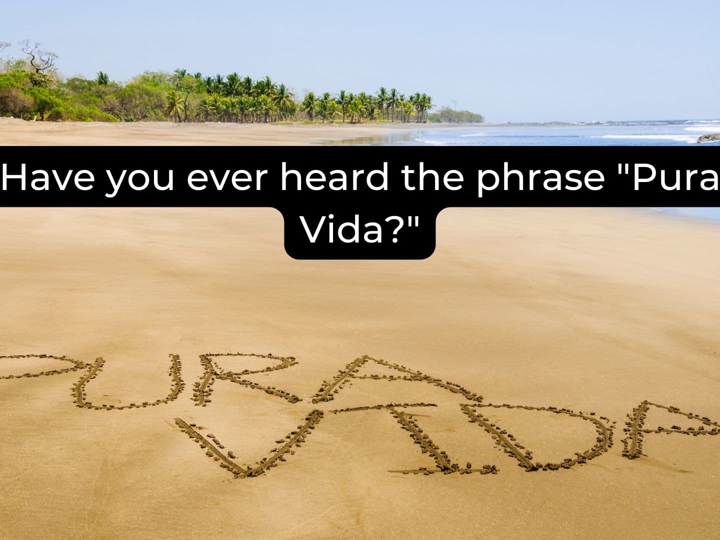 best pura vida quotes