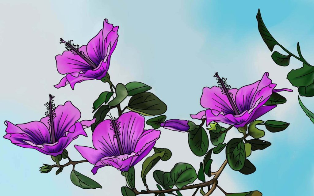 best purple hibiscus quotes and page numbers