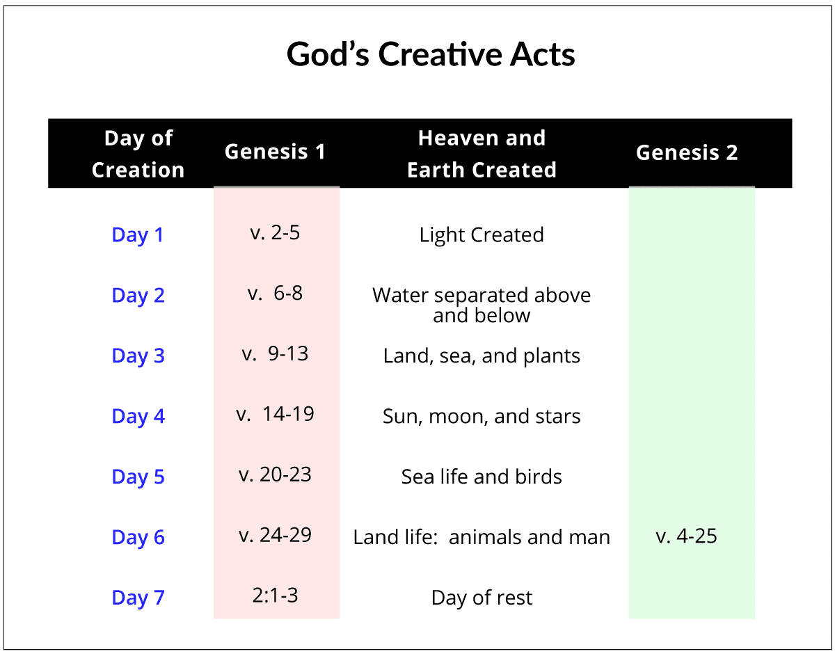 best questions about creation in genesis