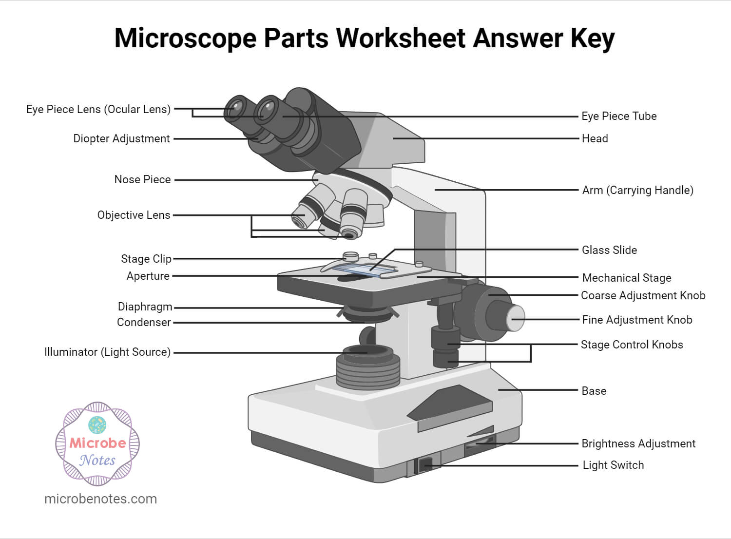 best questions about microscope