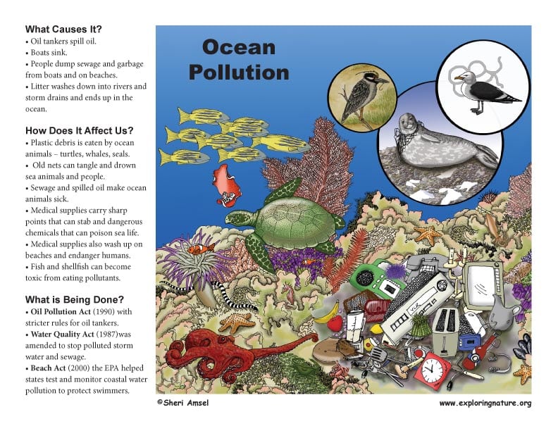 best questions about ocean pollution