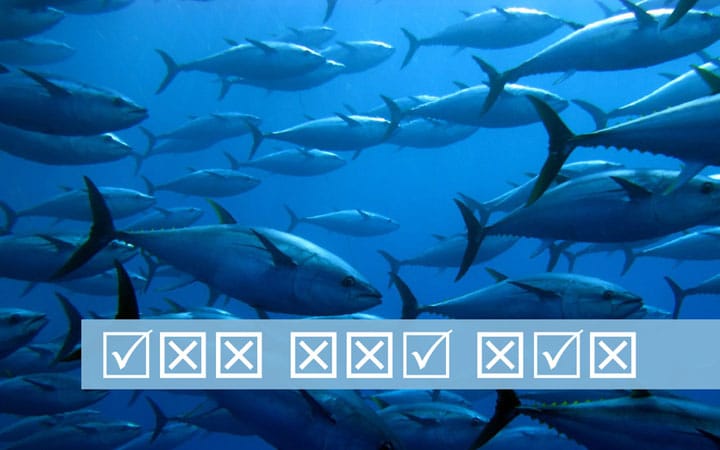 best questions about overfishing
