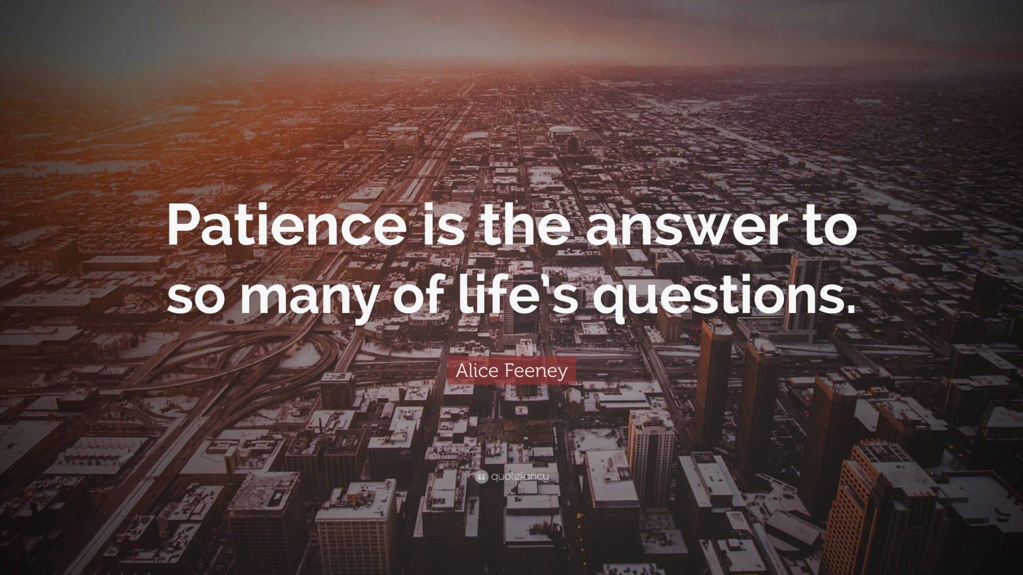 best questions about patience scaled