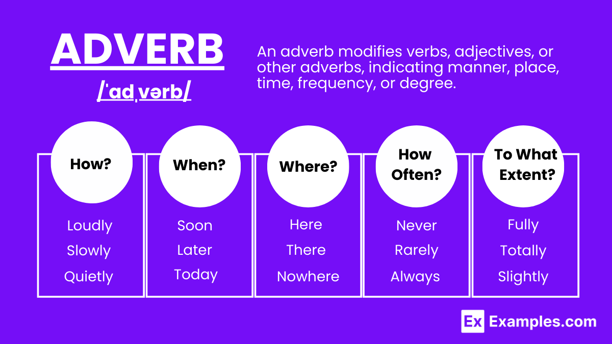 best questions adverbs answer