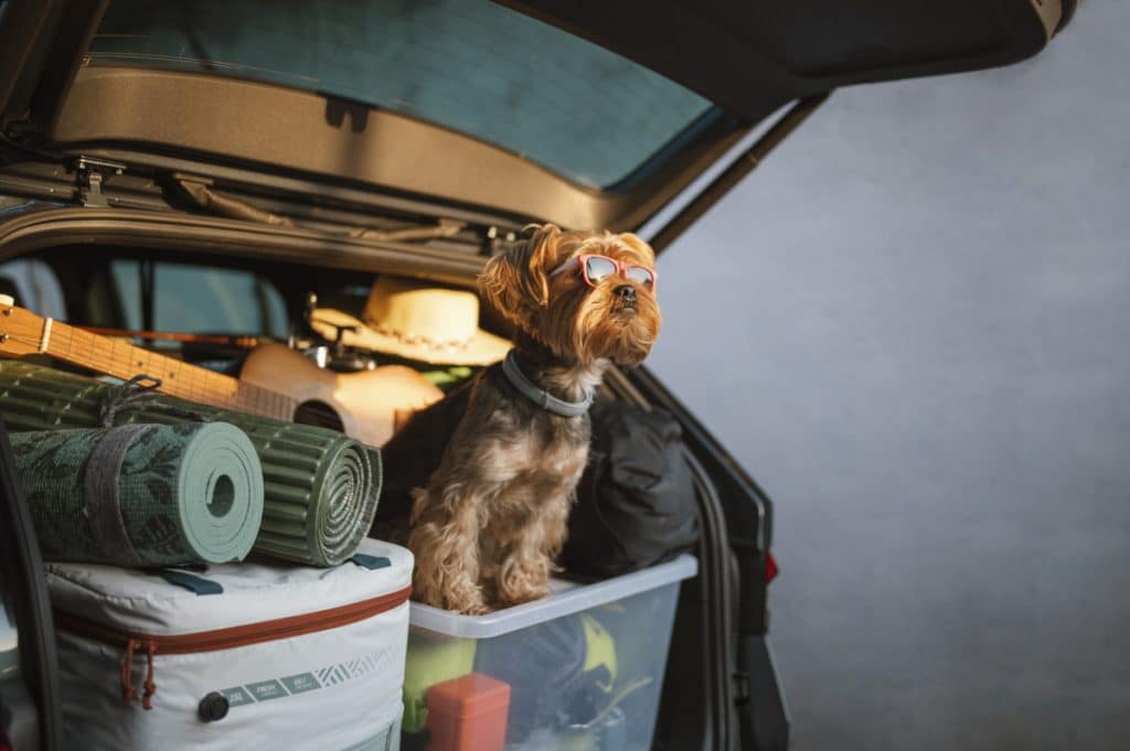 best questions during a road trip