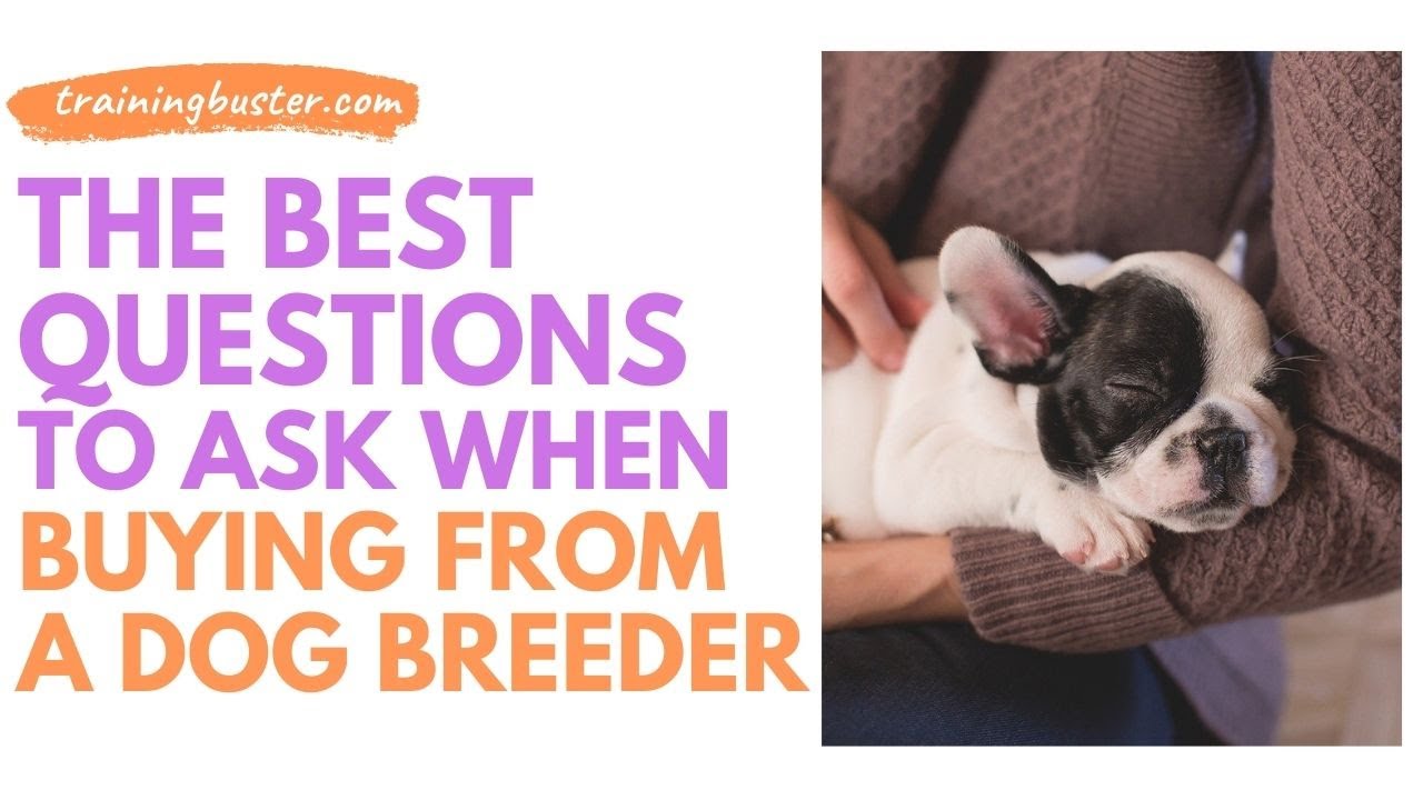 best questions for breeder before picking up puppy