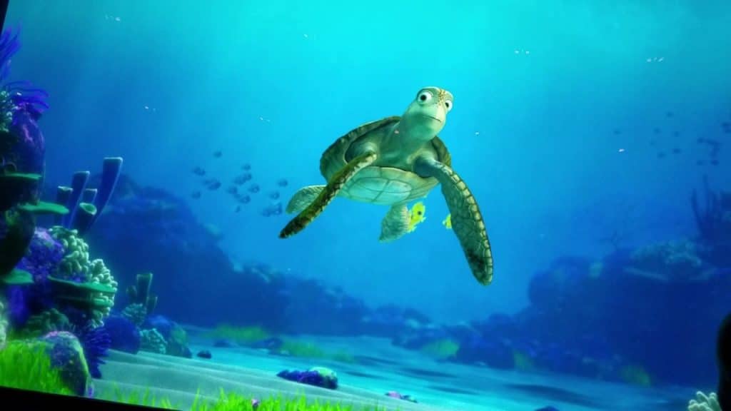 best questions for crush the turtle
