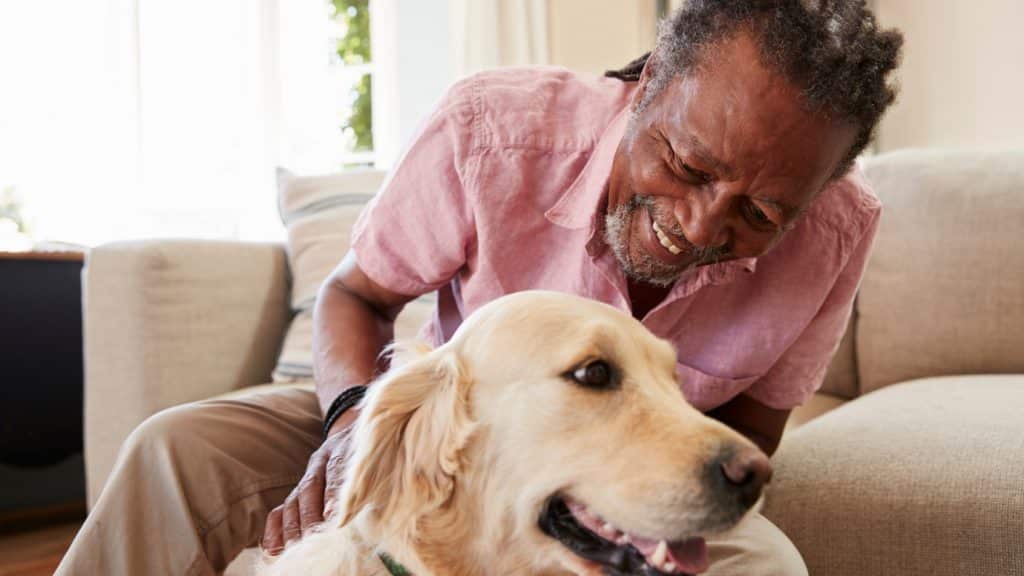 best questions for dog sitter