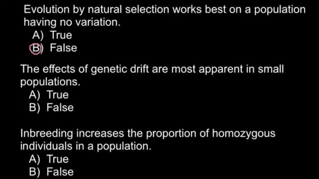 best questions for evolution