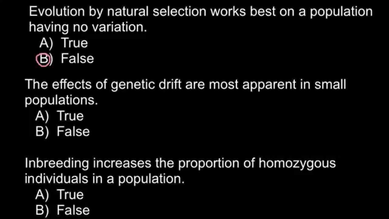 best questions for evolution