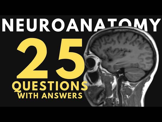 best questions for neurologist after mri