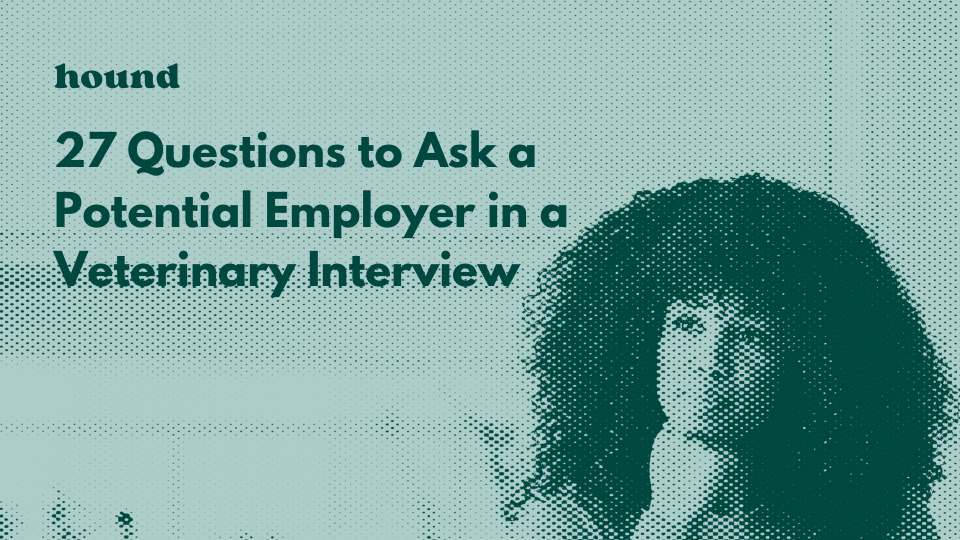 best questions for veterinary employer