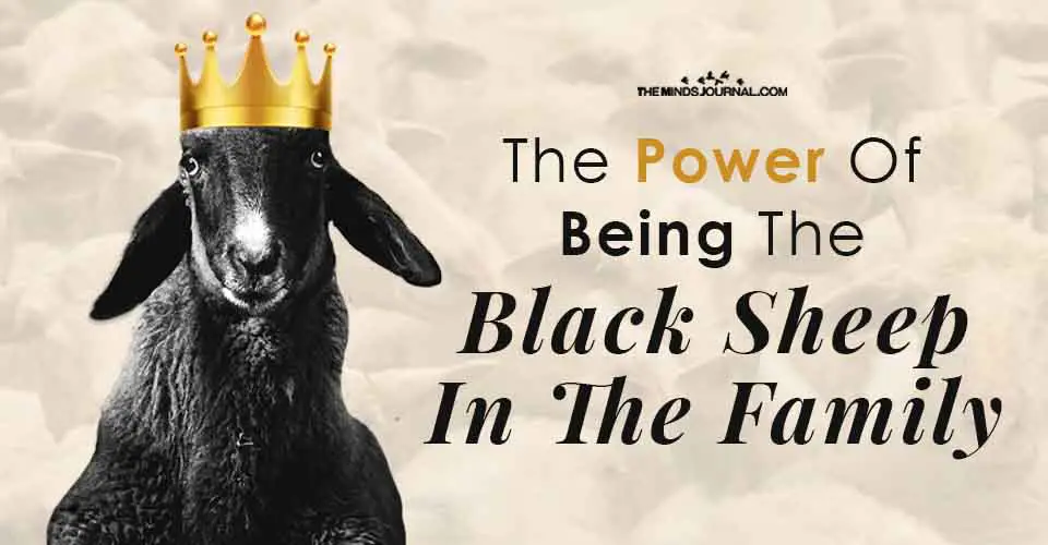 best quotes about being the black sheep of the family