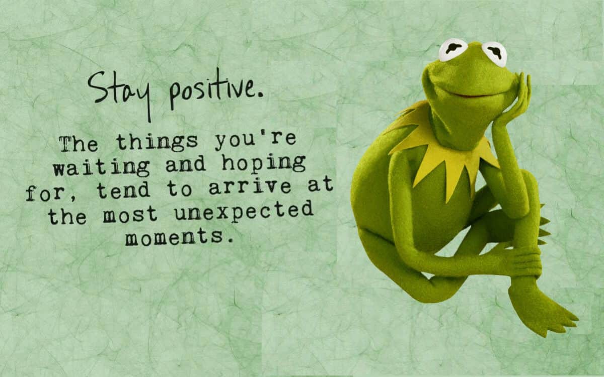 best quotes about frogs