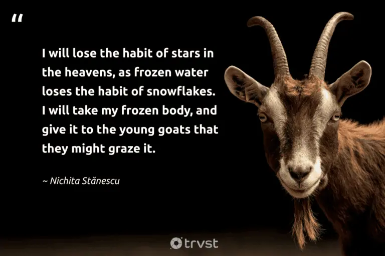 best quotes about goats