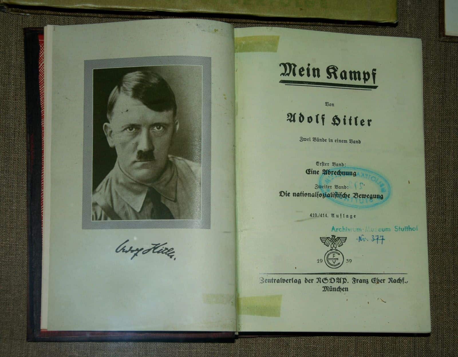 best quotes about hitler rise to power