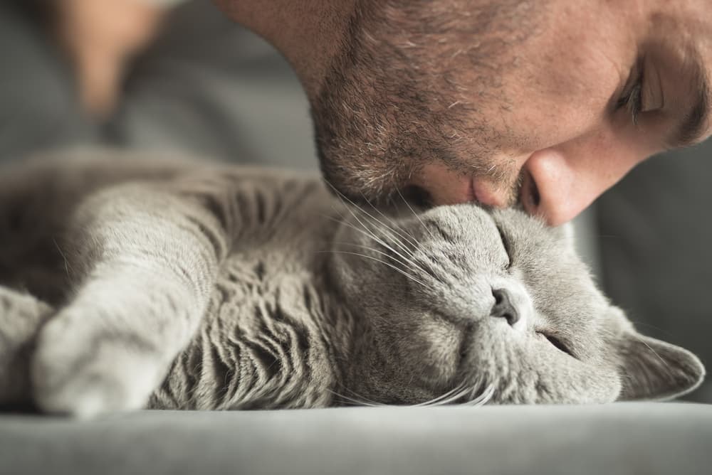 best quotes about losing a cat