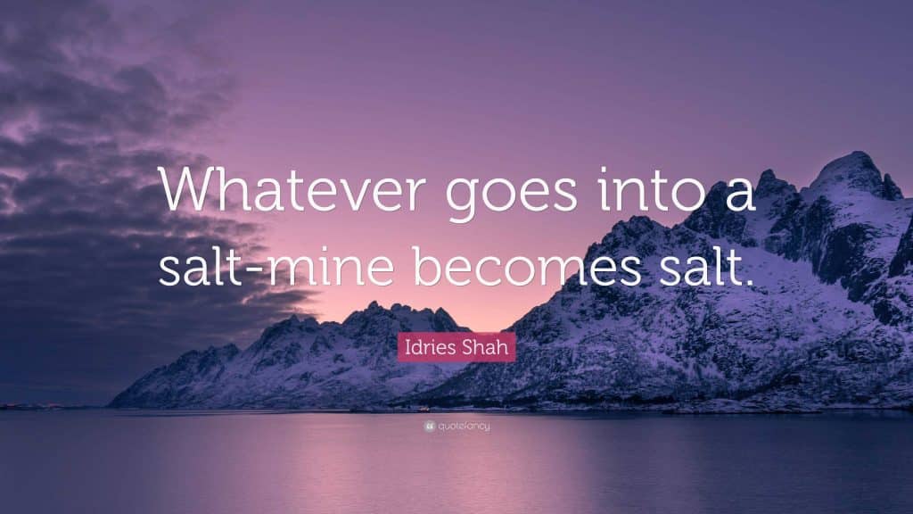 best quotes about salt scaled