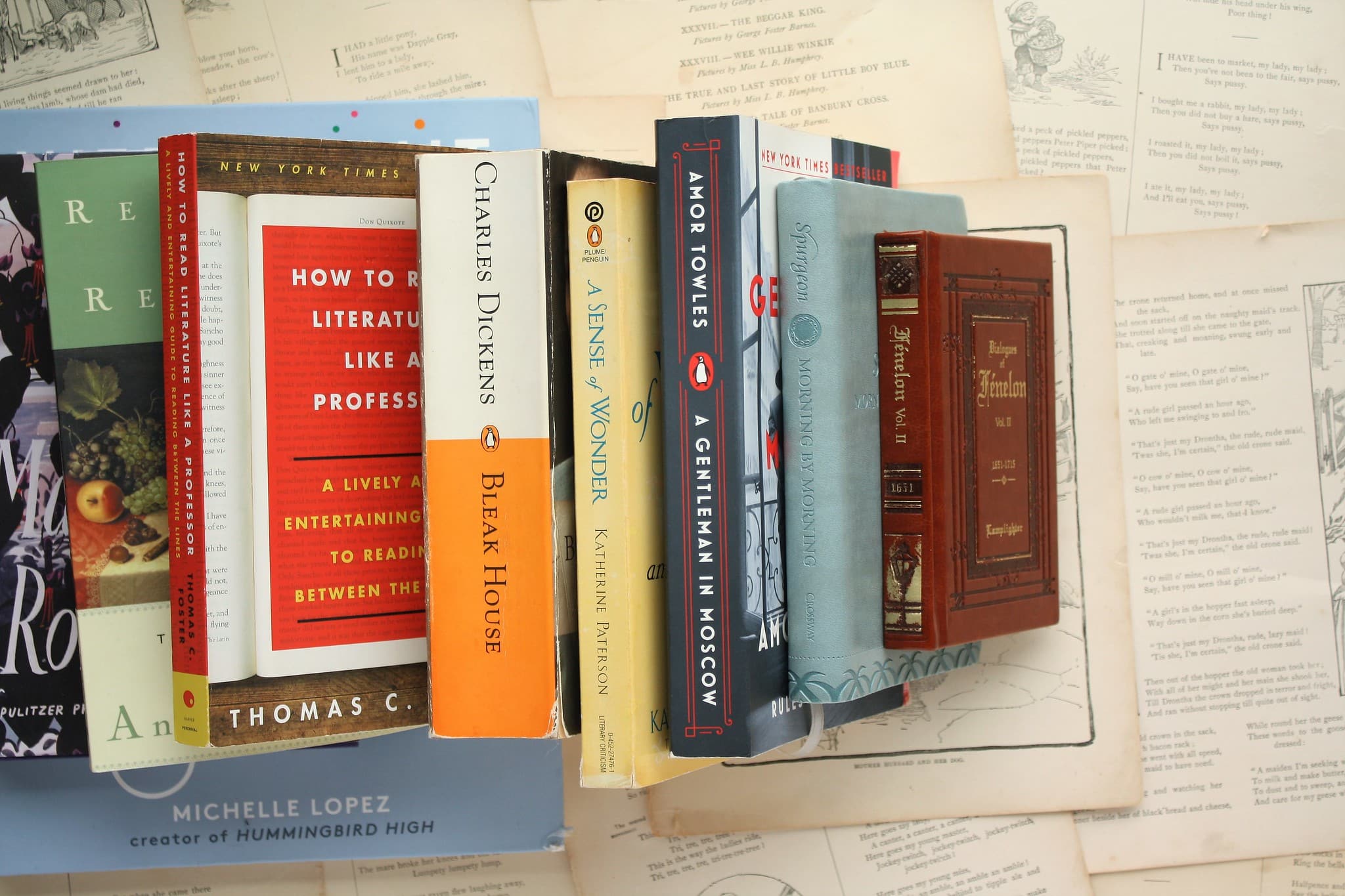 best quotes from how to read literature like a professor