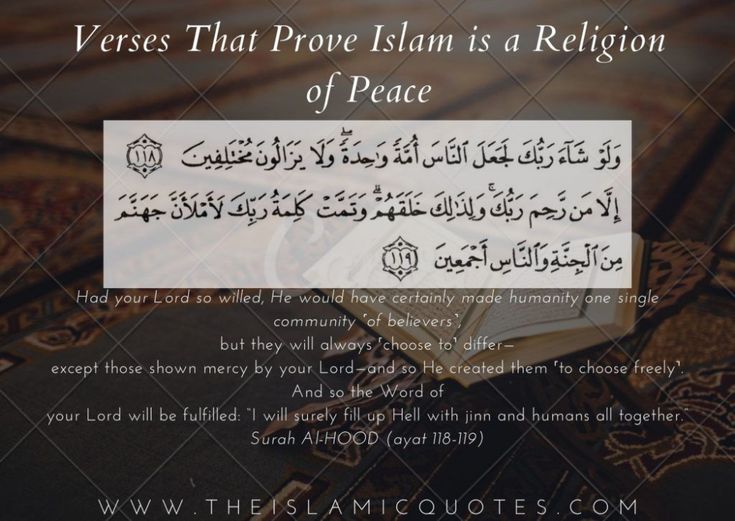 best quotes from the quran about peace
