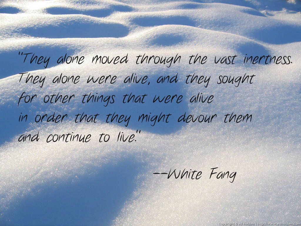 best quotes from white fang