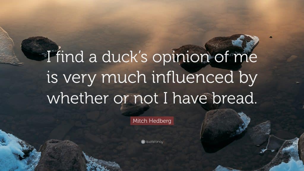 best quotes mitch hedberg scaled