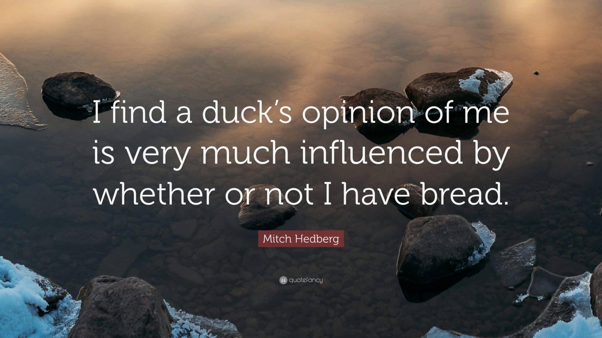 best quotes mitch hedberg scaled