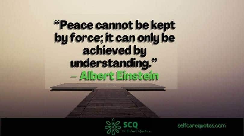 best quotes on mediation