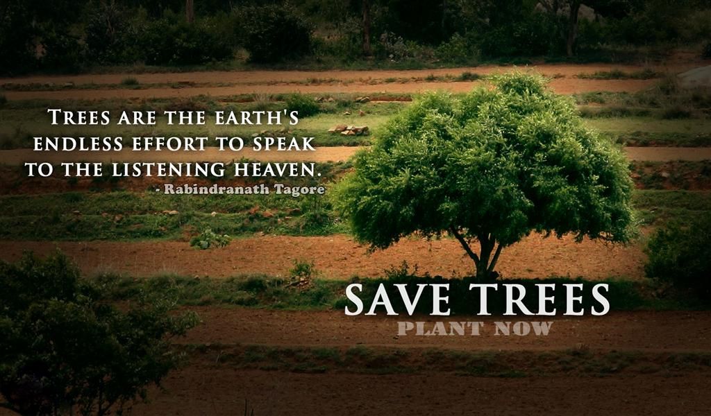 best quotes on save trees