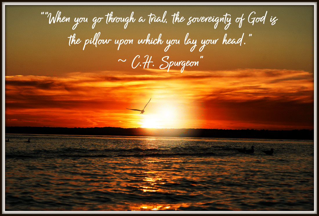 best quotes on the sovereignty of god