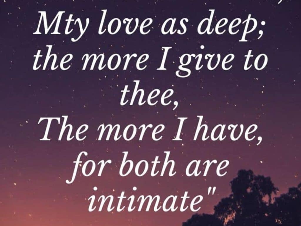 best quotes that prove romeo and juliet were not in love