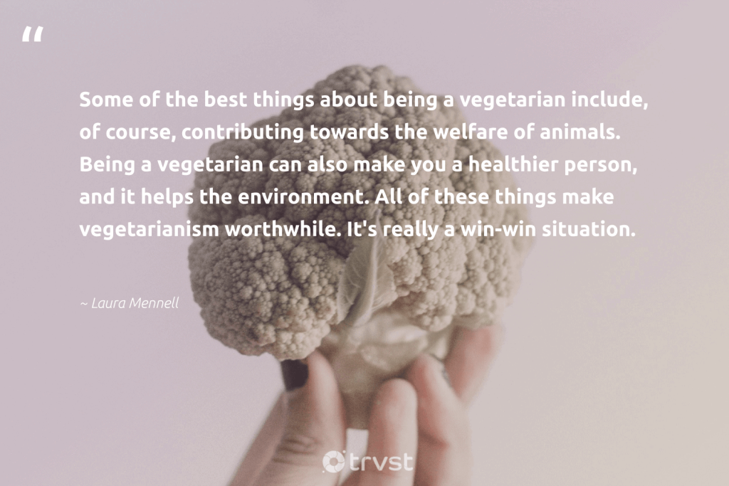 best quotes vegetarianism