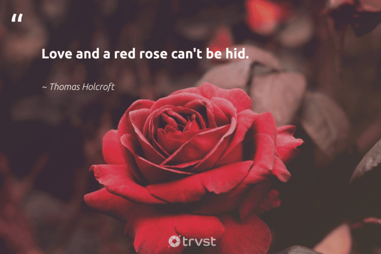 best quotes with red