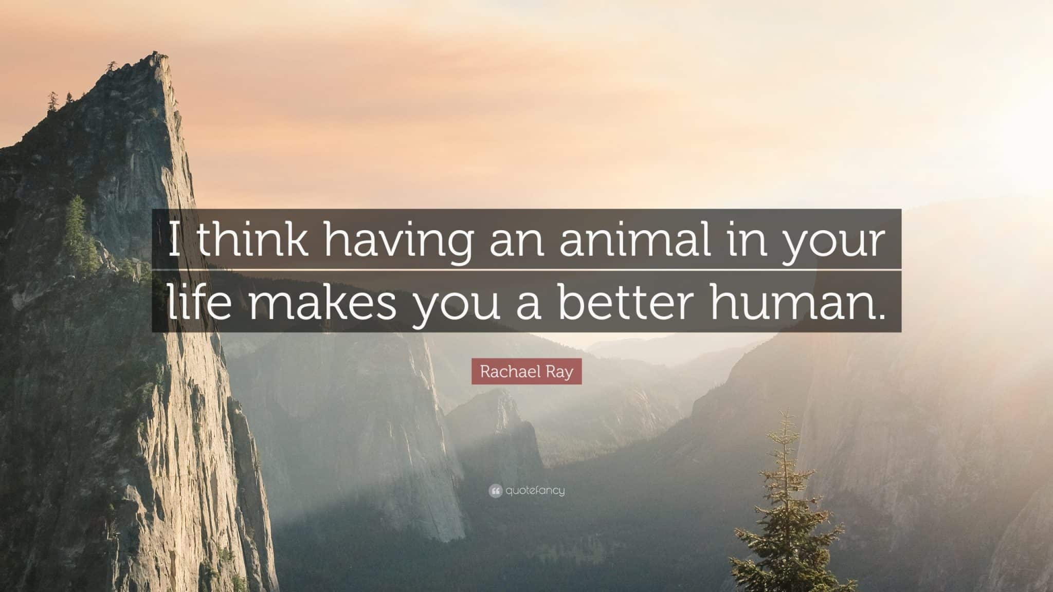 best rachael ray quotes scaled