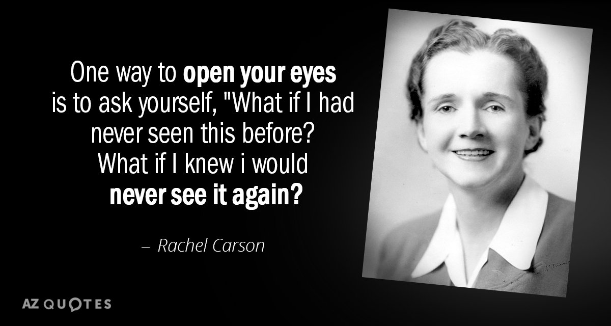 best rachel quotes