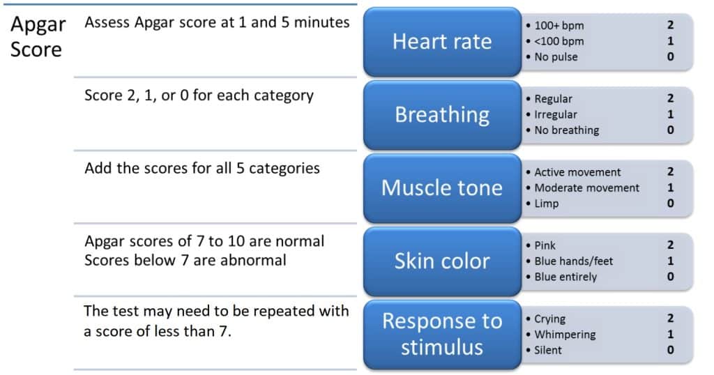 best rapid evaluation questions nrp