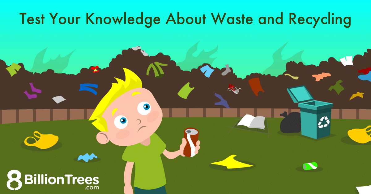 best recycling survey questions