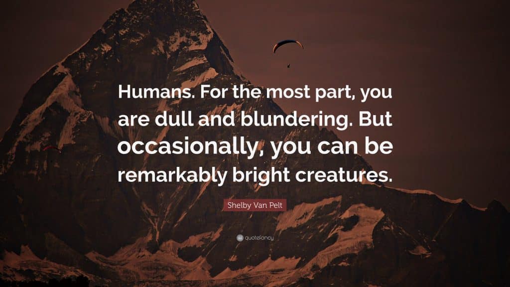 best remarkably bright creatures quotes scaled