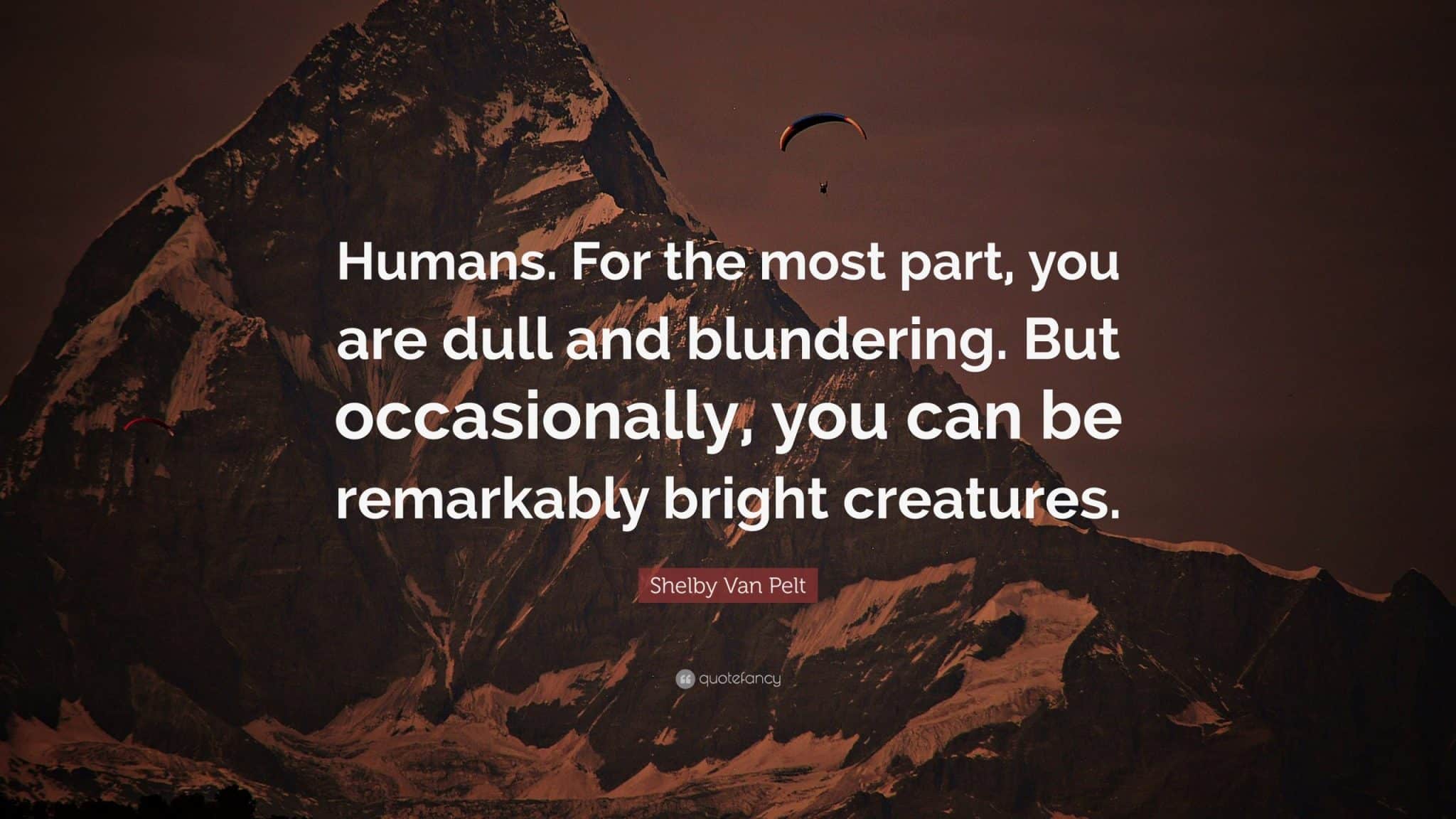 best remarkably bright creatures quotes scaled