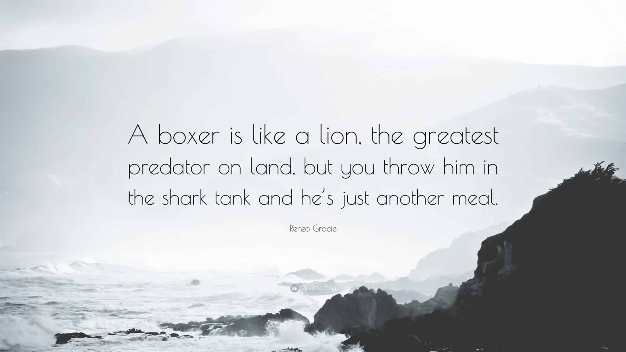 best renzo gracie quotes scaled