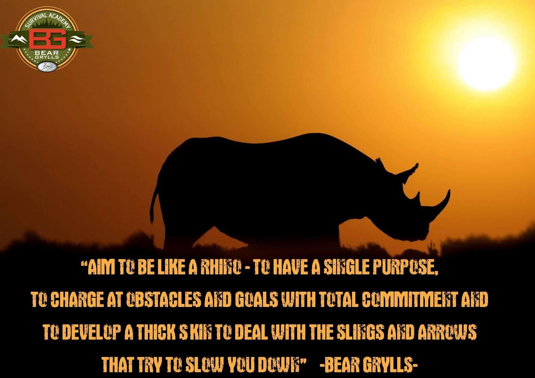 best rhinoceros success quotes