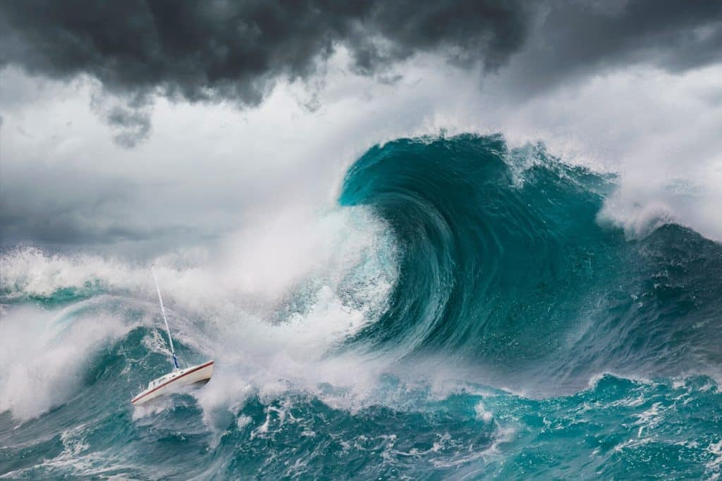 best rogue wave questions and answers