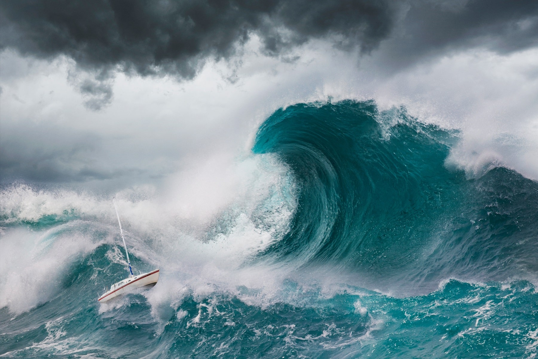 best rogue wave questions and answers