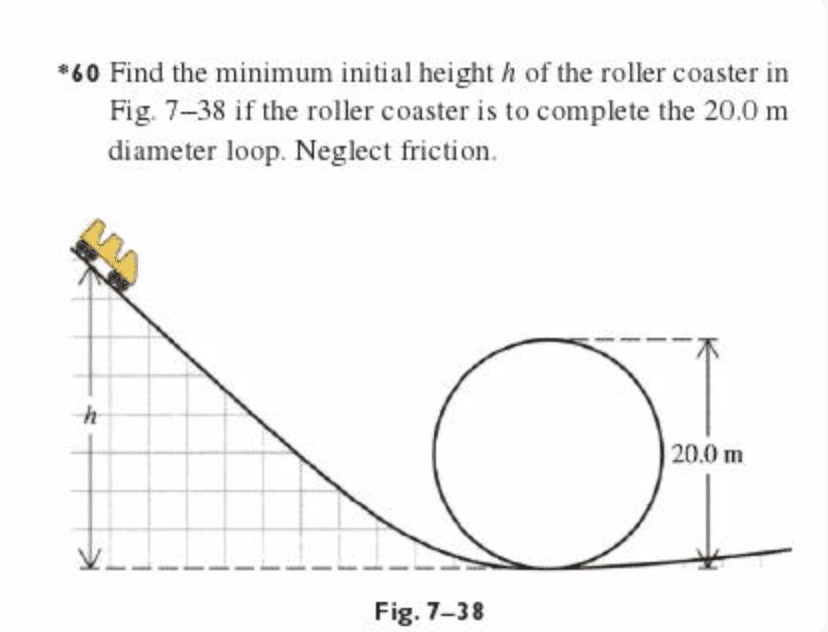 best roller coaster questions