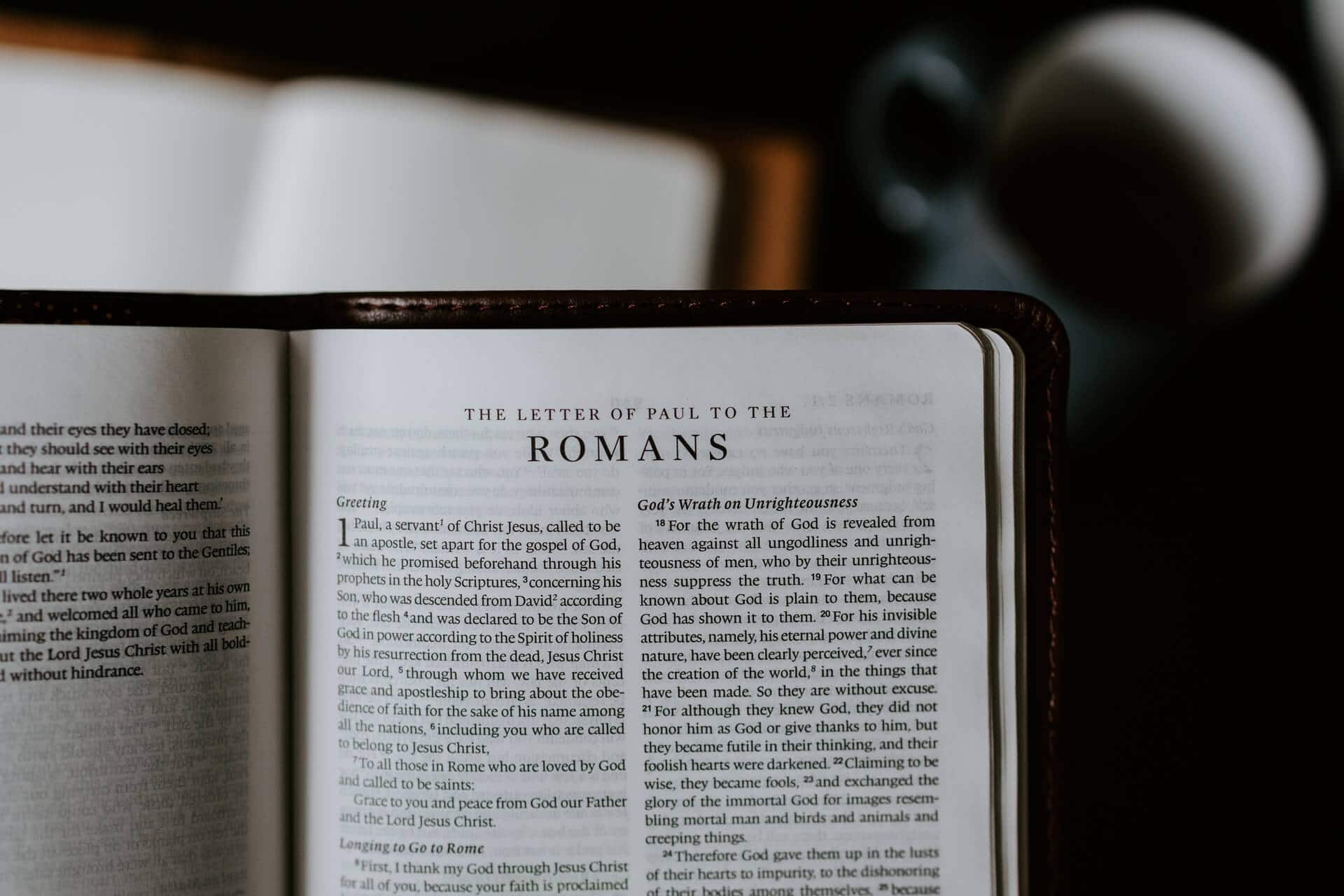 best romans 8 small group questions