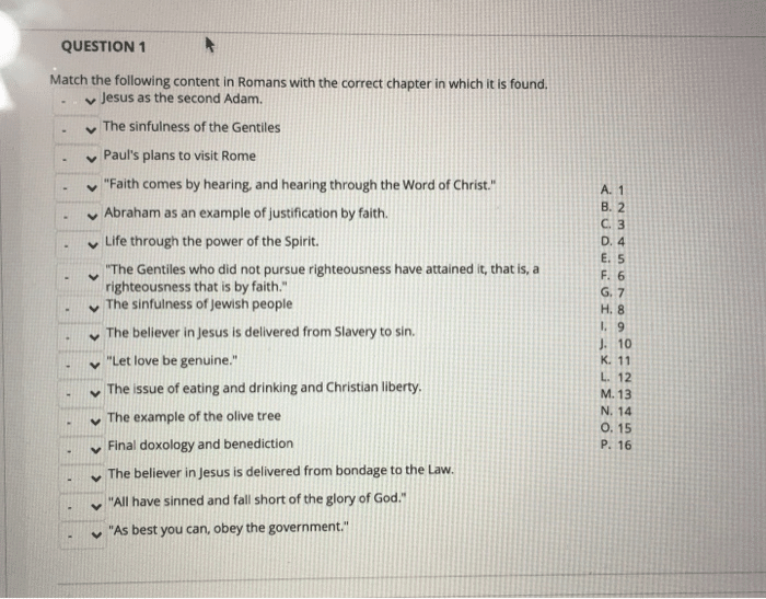 best romans chapter 6 questions and answers