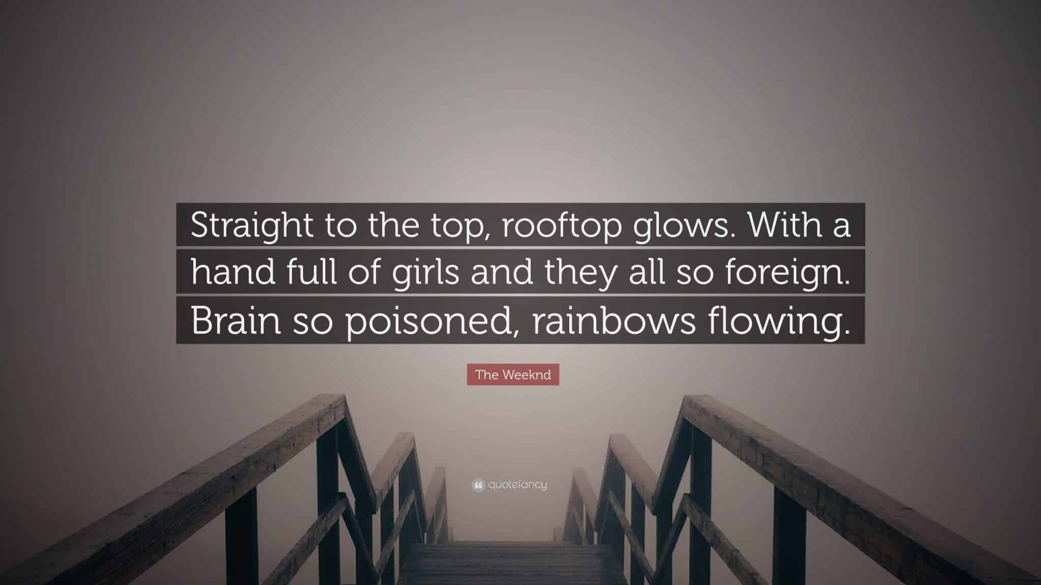 best rooftop quotes scaled