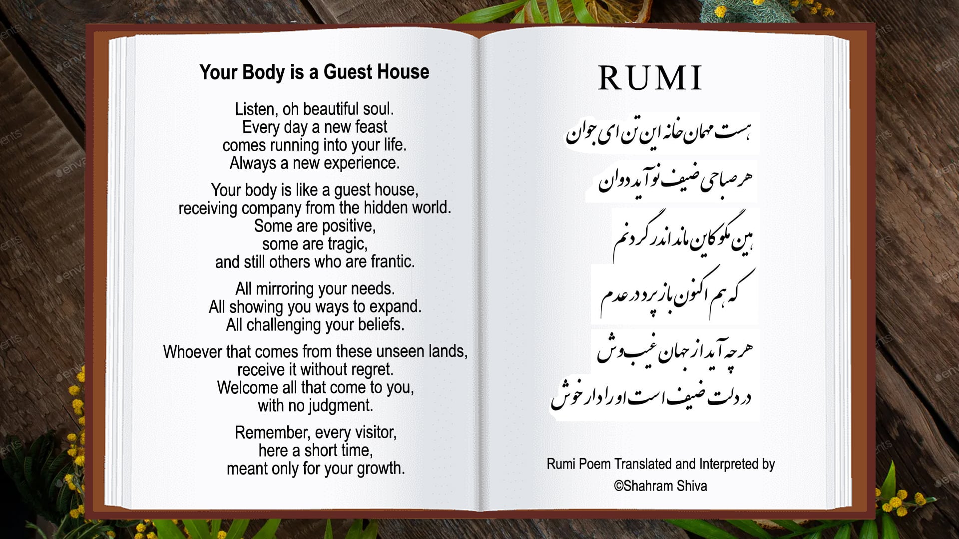 best rumi persian quotes